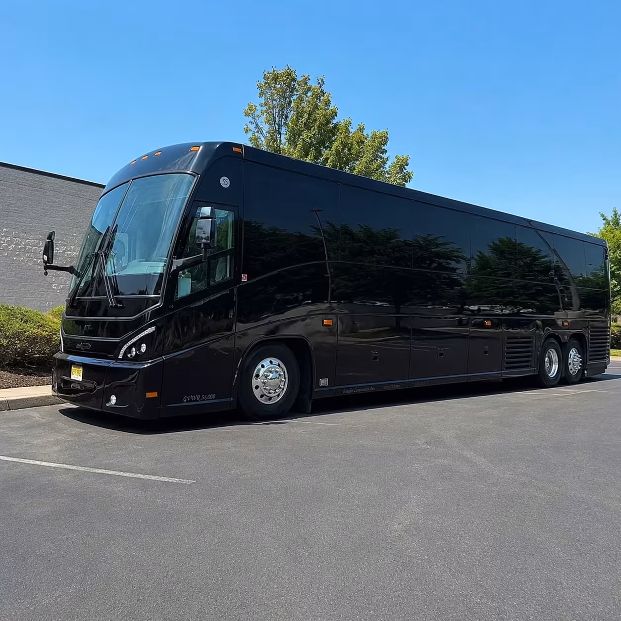 long distance school field trip bus rentals in watsonville